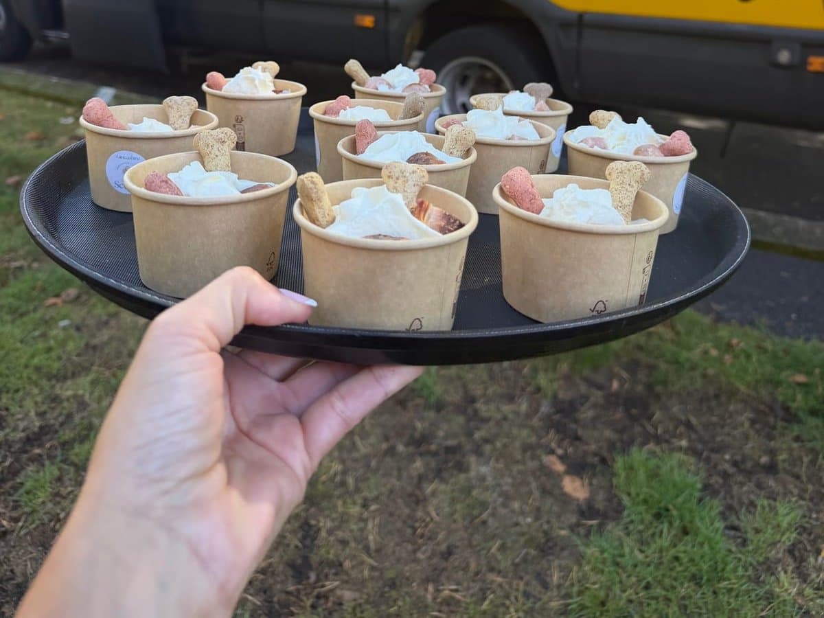 A tray of pup cups held up beside the bus